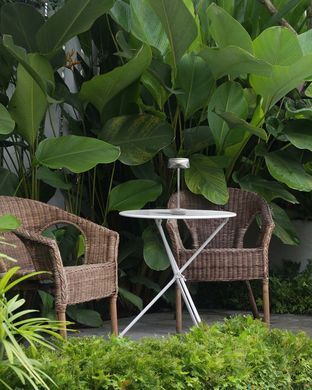 Настільна лампа POLUX 329882 Casablanca
