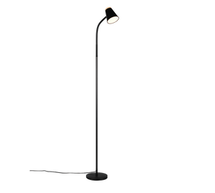 Торшер REALITY R45831102 PONGO