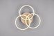 Люстра REALITY R62823135 CIRCLE