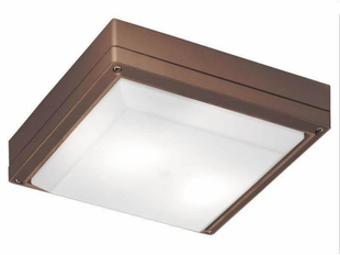 Вуличний стельовий світильник Viokef LEROS SQ 4049303