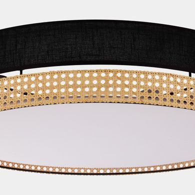 Стельовий світильник TK LIGHTING 6547 PAGLIA