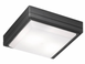 Вуличний стельовий світильник Viokef LEROS SQ 4049304
