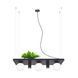 Люстра PLANT SHELF 5555 Zuma Line
