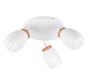 Люстра REALITY R61573331 BIDAR