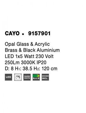 Люстра CAYO Nova Luce 9157901