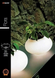 Настольная лампа AZzardo FLORA AZ0185 (AT 6118-3L-WH)
