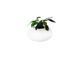 Настольная лампа AZzardo FLORA AZ0185 (AT 6118-3L-WH)
