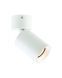 Спот Italux SPL-23436-1R-WH Nesto