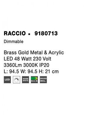 Люстра RACCIO Nova Luce 9180713