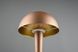 Настольная лампа REALITY R59561165 CANARIA