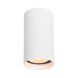 Точечный светильник Italux CLN-83920-S-WH Rilok