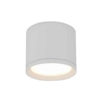 Точковий світильник TK LIGHTING 10595 VIVO