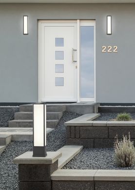 Вуличний світильник Trio 526260142 Fuerte