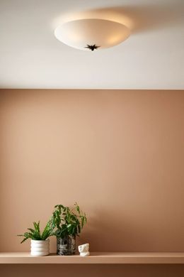 Потолочный светильник Markslojd ROSE 108208