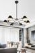 Люстра LAGUNA LIGHTING 42663-06