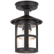 Вуличний стельовий світильник ELSTEAD BL21A BLACK