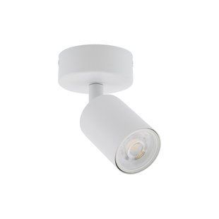 Точковий світильник TK LIGHTING 6197 TOP