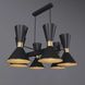Люстра Pikart DUALIGHT 11538-4