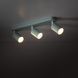 Спот TK Lighting 10236 LIVIA