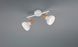 Спот REALITY R81522031 LATIKA