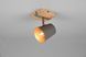 Бра TRIO 801900167 BELL