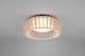 Люстра REALITY R62171130 MONTE