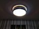 Потолочный светильник HILTON D45 GO TK-Lighting 4180